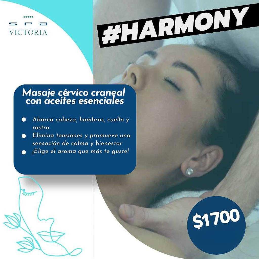 Harmony